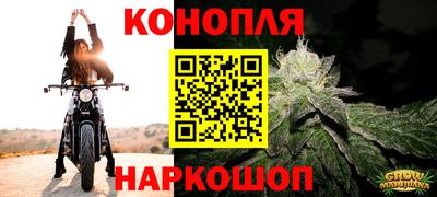 крисы Конаково